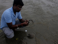 Members of the Zoological Survey of India (ZSI) are seen tagging horseshoe crabs with tracking devices as part of their research in the Inch...