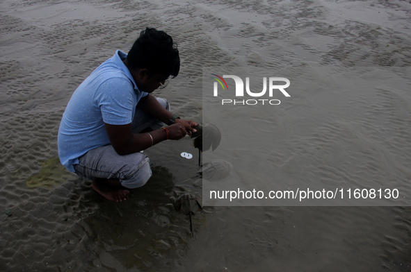 Members of the Zoological Survey of India (ZSI) are seen tagging horseshoe crabs with tracking devices as part of their research in the Inch...