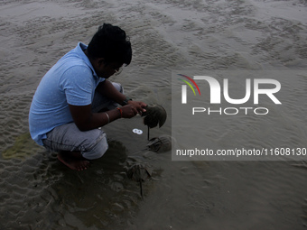 Members of the Zoological Survey of India (ZSI) are seen tagging horseshoe crabs with tracking devices as part of their research in the Inch...