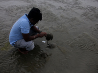 Members of the Zoological Survey of India (ZSI) are seen tagging horseshoe crabs with tracking devices as part of their research in the Inch...