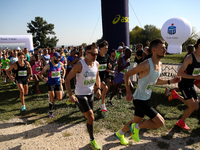 Competitors run during the 17th PKO Three Mounds Run on the Krakus Mound in Krakow, Poland, on September 22, 2024. The Three Mounds Run has...