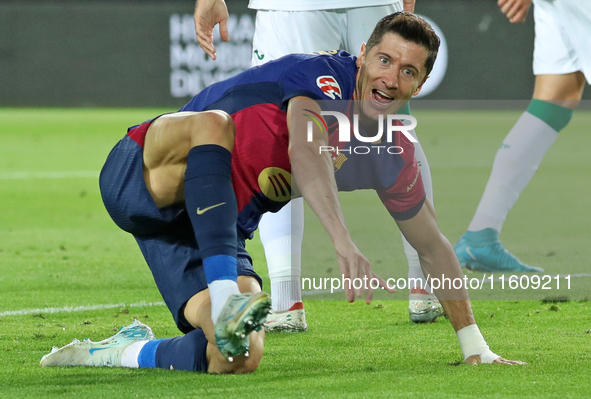 Robert Lewandowski celebrates a goal during the match between FC Barcelona and Getafe CF, corresponding to week 7 of LaLiga EA Sports, at th...