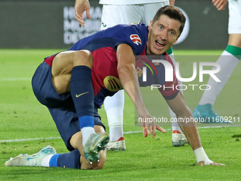 Robert Lewandowski celebrates a goal during the match between FC Barcelona and Getafe CF, corresponding to week 7 of LaLiga EA Sports, at th...