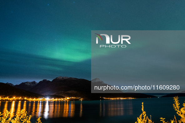 The Aurora Borealis, commonly known as the Northern Lights, are seen in the sky near Tromso, Norway, on September 25, 2024. Experts forecast...