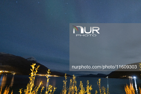 The Aurora Borealis, commonly known as the Northern Lights, are seen in the sky near Tromso, Norway, on September 25, 2024. Experts forecast...