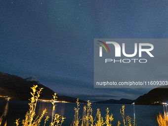 The Aurora Borealis, commonly known as the Northern Lights, are seen in the sky near Tromso, Norway, on September 25, 2024. Experts forecast...