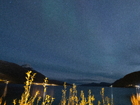 The Aurora Borealis, commonly known as the Northern Lights, are seen in the sky near Tromso, Norway, on September 25, 2024. Experts forecast...