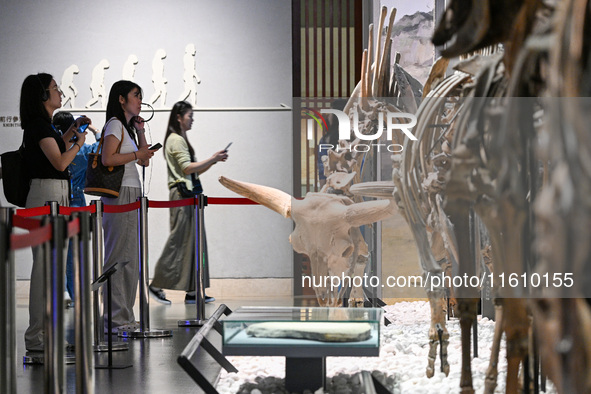 Visitors visit the Nanjing Museum in Nanjing, China, on September 26, 2024. By the end of August 2024, the 6,833 museums officially register...