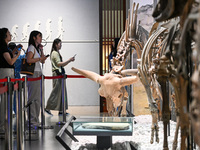 Visitors visit the Nanjing Museum in Nanjing, China, on September 26, 2024. By the end of August 2024, the 6,833 museums officially register...