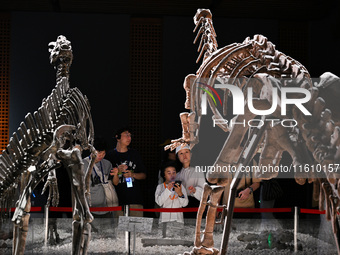 Visitors visit the Nanjing Museum in Nanjing, China, on September 26, 2024. By the end of August 2024, the 6,833 museums officially register...