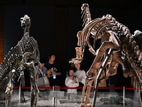 Visitors visit the Nanjing Museum in Nanjing, China, on September 26, 2024. By the end of August 2024, the 6,833 museums officially register...