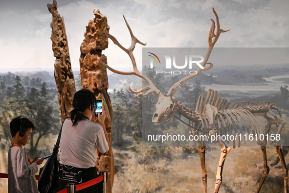 Visitors visit the Nanjing Museum in Nanjing, China, on September 26, 2024. By the end of August 2024, the 6,833 museums officially register...