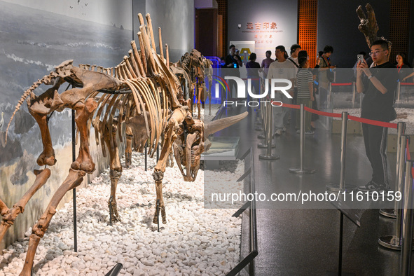 Visitors visit the Nanjing Museum in Nanjing, China, on September 26, 2024. By the end of August 2024, the 6,833 museums officially register...