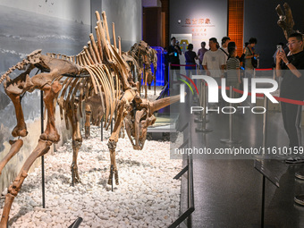 Visitors visit the Nanjing Museum in Nanjing, China, on September 26, 2024. By the end of August 2024, the 6,833 museums officially register...