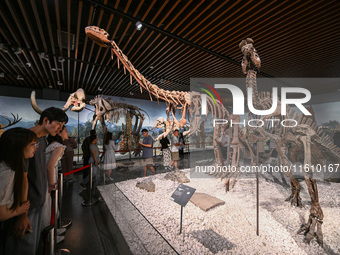 Visitors visit the Nanjing Museum in Nanjing, China, on September 26, 2024. By the end of August 2024, the 6,833 museums officially register...