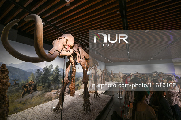 Visitors visit the Nanjing Museum in Nanjing, China, on September 26, 2024. By the end of August 2024, the 6,833 museums officially register...