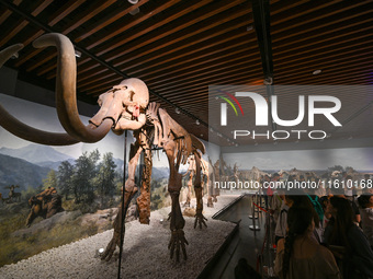 Visitors visit the Nanjing Museum in Nanjing, China, on September 26, 2024. By the end of August 2024, the 6,833 museums officially register...