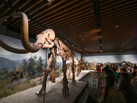 Visitors visit the Nanjing Museum in Nanjing, China, on September 26, 2024. By the end of August 2024, the 6,833 museums officially register...