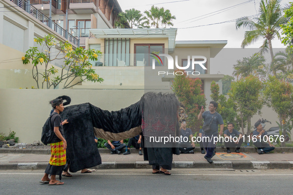 A group of children is seen performing Ngelawang, a traditional ritual featuring the Barong Bangkung, a barong with the head of a wild boar,...