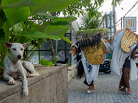 A group of children is seen performing Ngelawang, a traditional ritual featuring the Barong Bangkung, a barong with the head of a wild boar,...