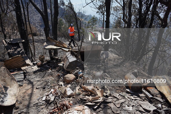 Aftermath of a forest fire in Quito, Ecuador, on September 26, 2024. The fire originated in the forest near Av. Simon Bolivar, close to the...