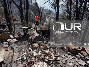 Aftermath of a forest fire in Quito, Ecuador, on September 26, 2024. The fire originated in the forest near Av. Simon Bolivar, close to the...