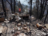 Aftermath of a forest fire in Quito, Ecuador, on September 26, 2024. The fire originated in the forest near Av. Simon Bolivar, close to the...