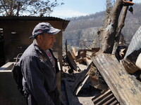 Aftermath of a forest fire in Quito, Ecuador, on September 26, 2024. The fire originated in the forest near Av. Simon Bolivar, close to the...