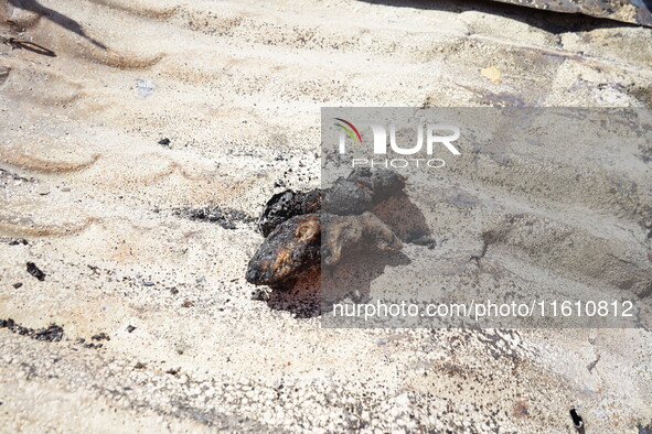 Aftermath of a forest fire in Quito, Ecuador, on September 26, 2024. The fire originated in the forest near Av. Simon Bolivar, close to the...