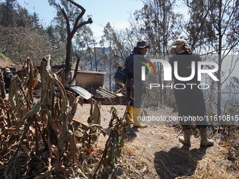 Aftermath of a forest fire in Quito, Ecuador, on September 26, 2024. The fire originated in the forest near Av. Simon Bolivar, close to the...