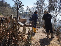 Aftermath of a forest fire in Quito, Ecuador, on September 26, 2024. The fire originated in the forest near Av. Simon Bolivar, close to the...