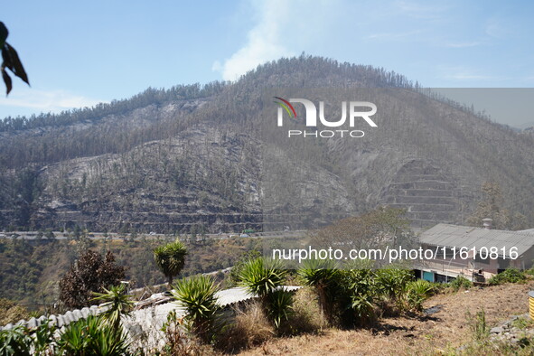 Aftermath of a forest fire in Quito, Ecuador, on September 26, 2024. The fire originated in the forest near Av. Simon Bolivar, close to the...