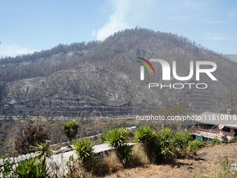 Aftermath of a forest fire in Quito, Ecuador, on September 26, 2024. The fire originated in the forest near Av. Simon Bolivar, close to the...