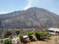 Aftermath of a forest fire in Quito, Ecuador, on September 26, 2024. The fire originated in the forest near Av. Simon Bolivar, close to the...