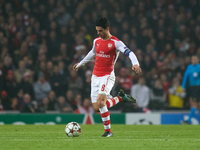 Mikel Arteta, captain of Arsenal, is in action during the UEFA Champions League Group D soccer match between Arsenal and Borussia Dortmund a...