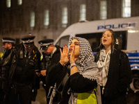 A pro-Lebanon and pro-Palestine protester at the Lebanon Ceasefire Protest at 10 Downing Street in London, United Kingdom, on September 26,...