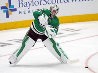 Jake Oettinger #29 of the Dallas Stars stands in the net against Minnesota during the NHL preseason match between the Dallas Stars and the M...