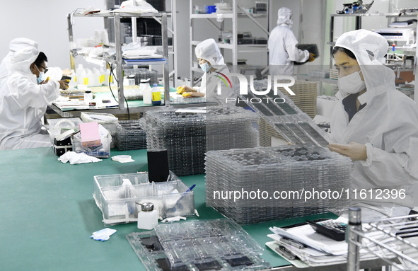 Workers at a liquid crystal display manufacturer work at Shanting Economic Development Zone in Zaozhuang, China, on September 25, 2024. 