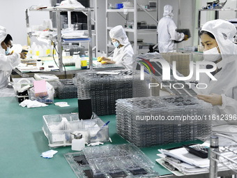 Workers at a liquid crystal display manufacturer work at Shanting Economic Development Zone in Zaozhuang, China, on September 25, 2024. (