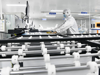 Workers at a liquid crystal display manufacturer work at Shanting Economic Development Zone in Zaozhuang, China, on September 25, 2024. (