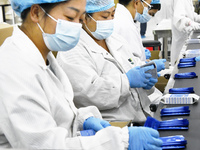 Workers at a probiotic production company work at Shanting Economic Development Zone in Zaozhuang, China, on September 25, 2024. (