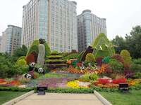 National Day themed flower beds are displayed along Chang'an Avenue in Beijing, China, on September 27, 2024. (