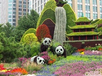 National Day themed flower beds are displayed along Chang'an Avenue in Beijing, China, on September 27, 2024. (