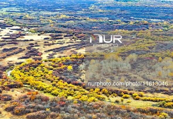 An aerial photo shows the scenery of Erguna wetland in Hulunbuir, China, on September 27, 2024. 