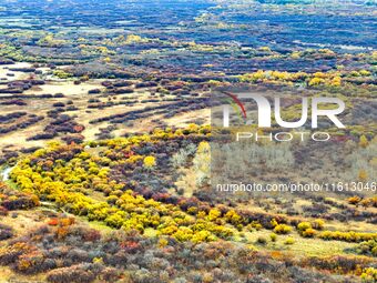 An aerial photo shows the scenery of Erguna wetland in Hulunbuir, China, on September 27, 2024. (