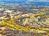 An aerial photo shows the scenery of Erguna wetland in Hulunbuir, China, on September 27, 2024. (