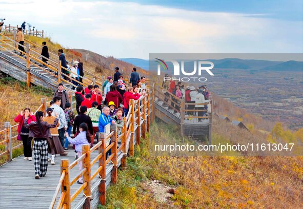 Tourists visit the scenery of Erguna wetland in Hulunbuir, Inner Mongolia, China, on September 27, 2024. 