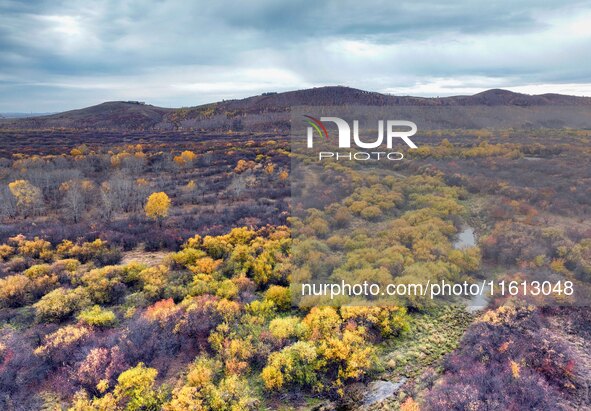 An aerial photo shows the scenery of Erguna wetland in Hulunbuir, China, on September 27, 2024. 