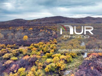 An aerial photo shows the scenery of Erguna wetland in Hulunbuir, China, on September 27, 2024. (