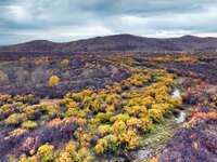 An aerial photo shows the scenery of Erguna wetland in Hulunbuir, China, on September 27, 2024. (